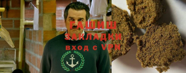 стаф Корсаков